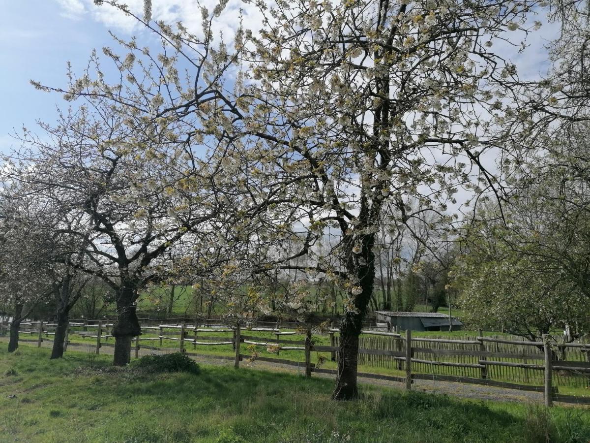 Villa Les Petites Rives De La Motte Pleugueneuc Esterno foto