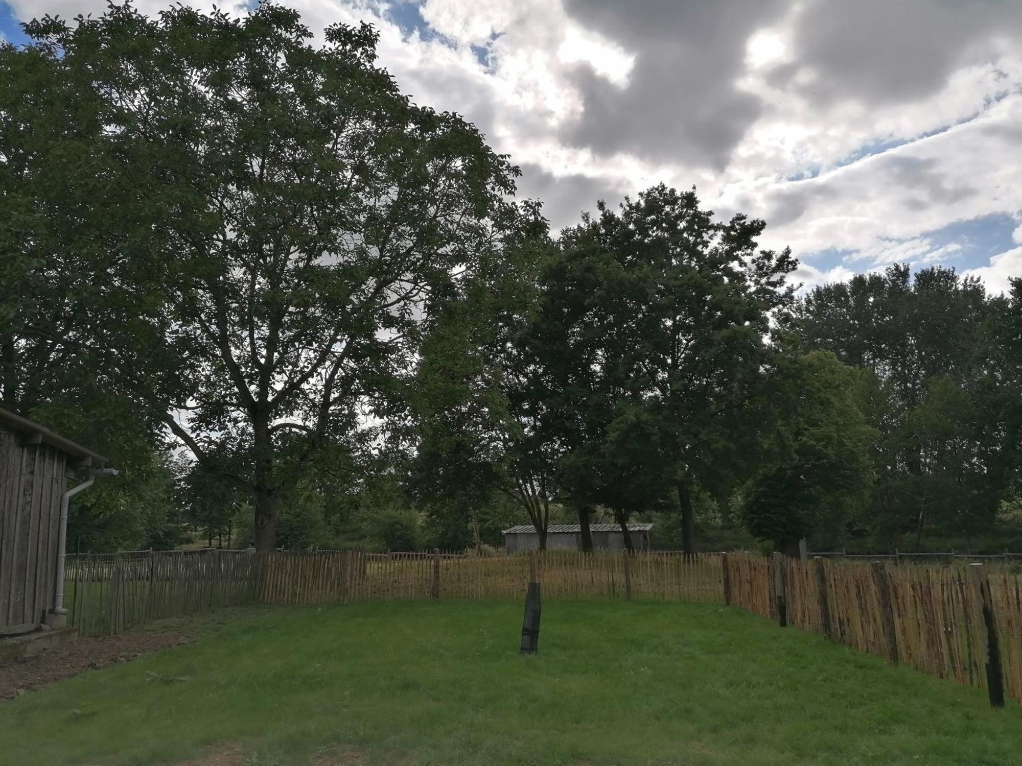 Villa Les Petites Rives De La Motte Pleugueneuc Esterno foto